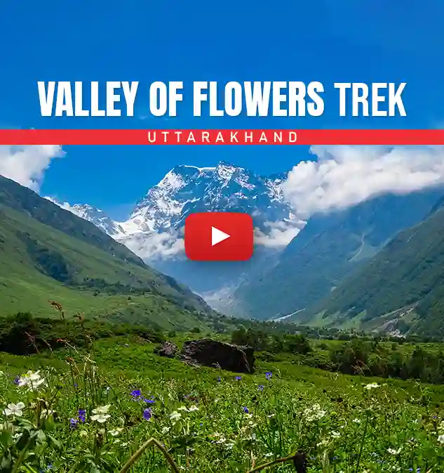 Valley of Flowers Trek Informative Video